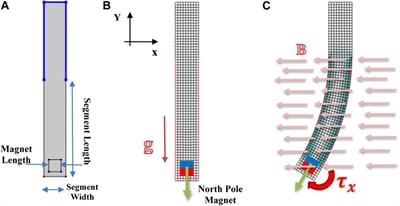 Evolutionary Inverse Material Identification: Bespoke Characterization of Soft Materials Using a Metaheuristic Algorithm